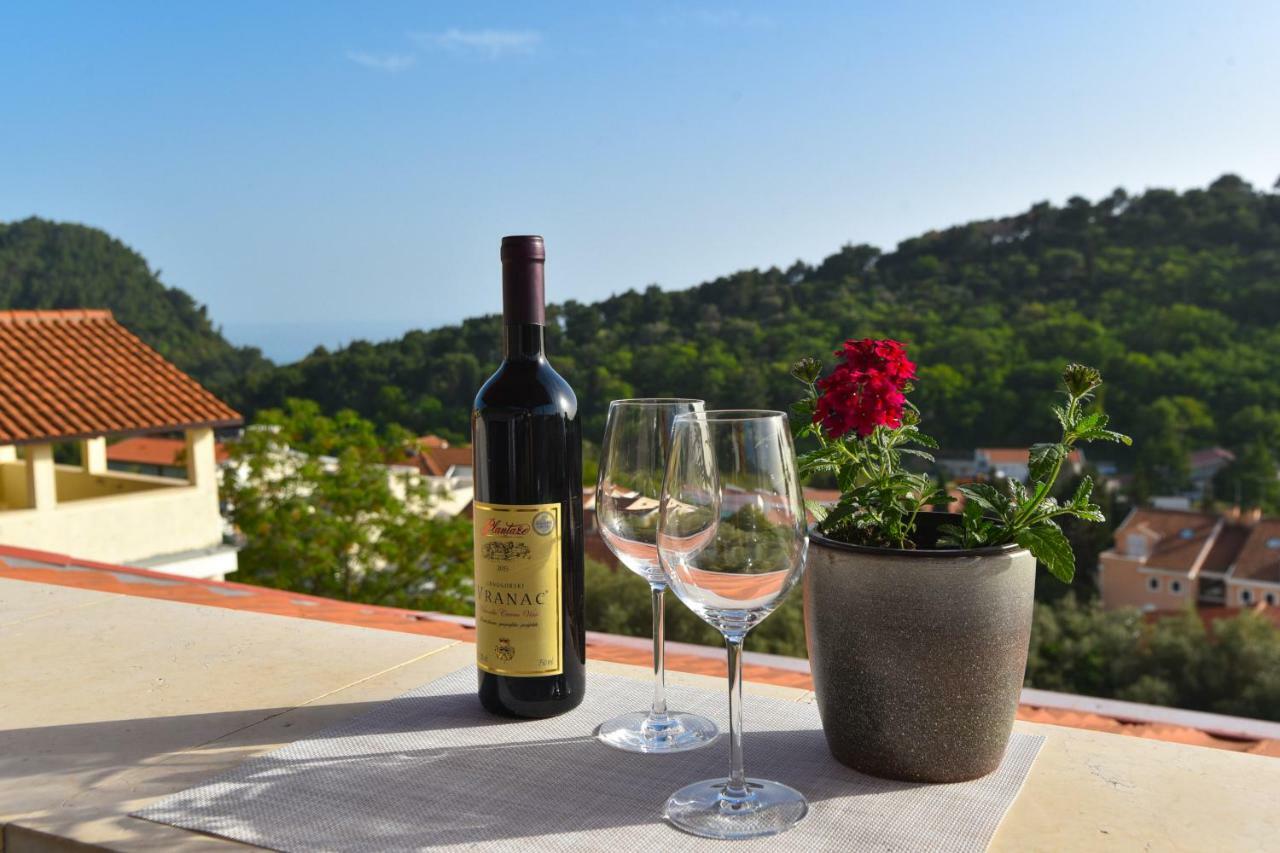 Guest House Jedro Petrovac Luaran gambar